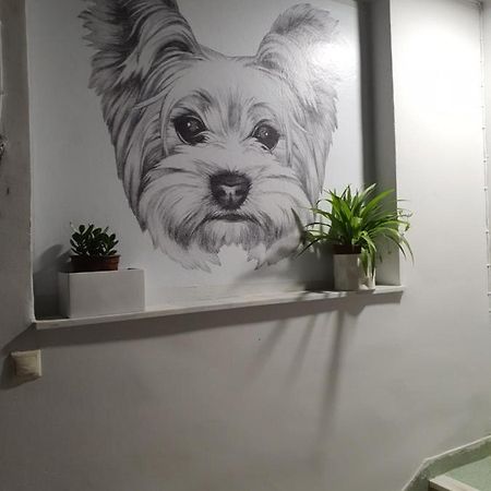 Larry'S Little Place In The Center Of Gytheio Extérieur photo