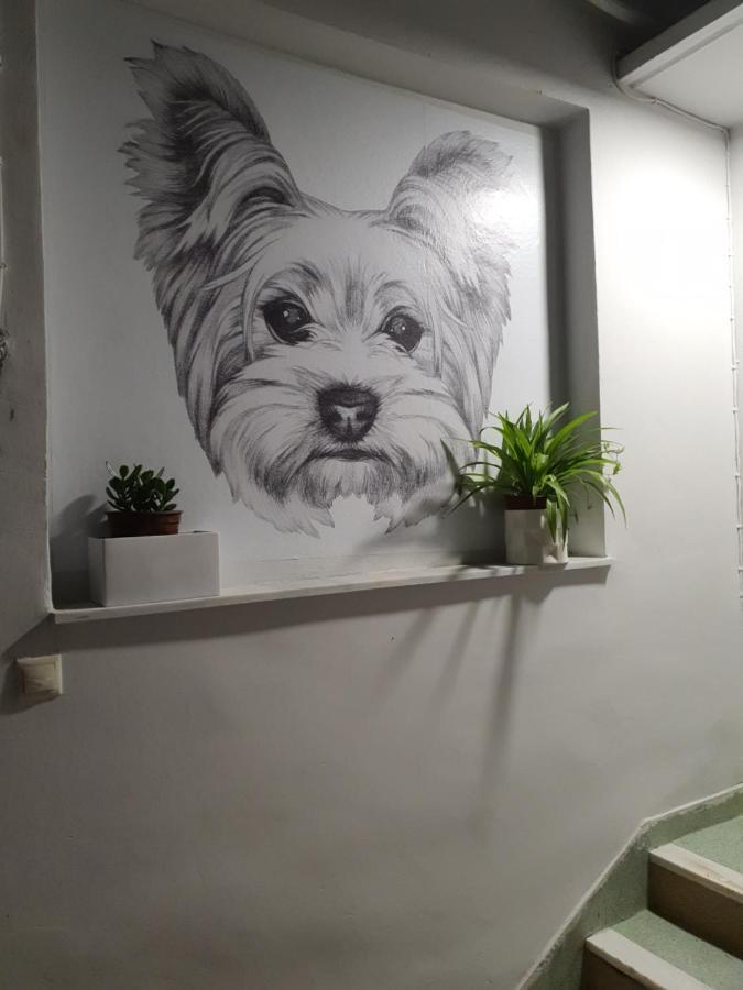 Larry'S Little Place In The Center Of Gytheio Extérieur photo